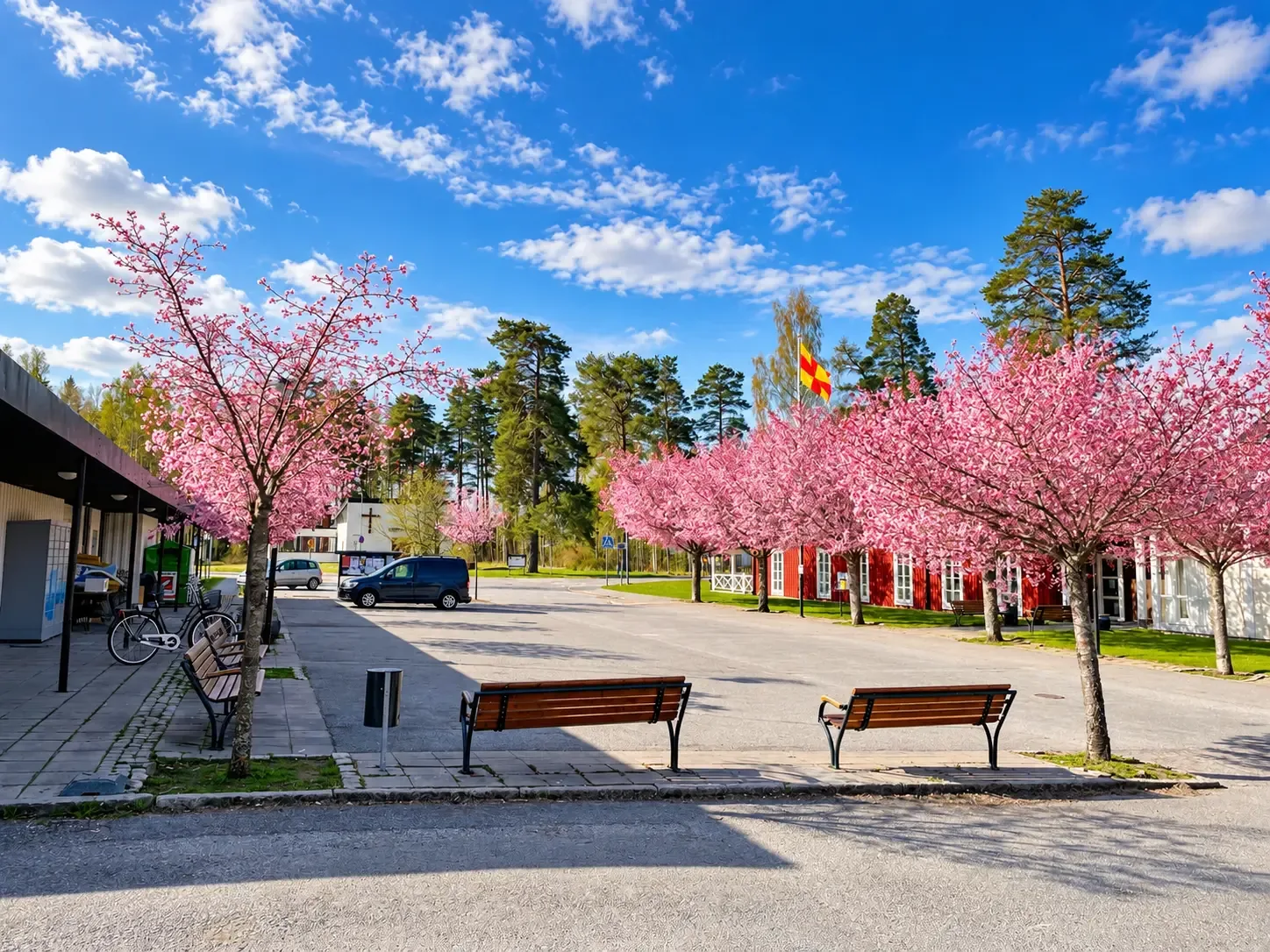 Torgytan framför fastigheten med blommande körsbärsträd, bänkar och solsken