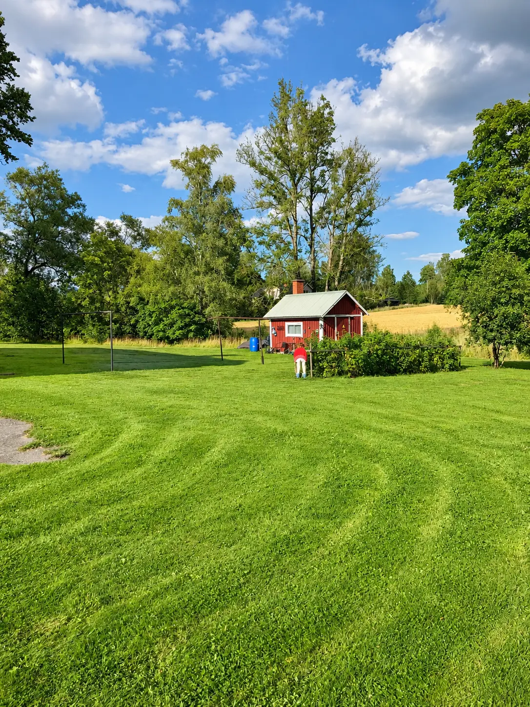 Trädgården med liten röd stuga och gräsmatta