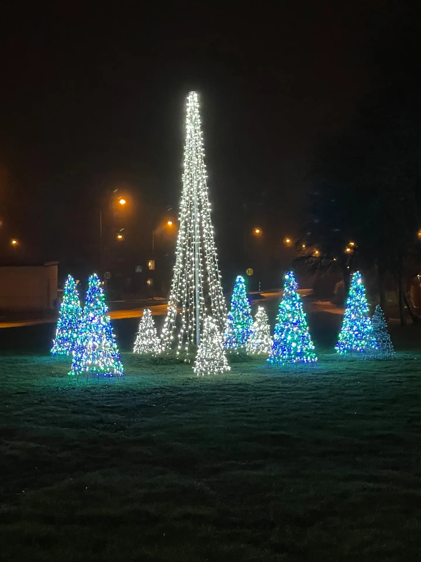 Julbelysning med ljusgranar på gräsmattan utanför fastigheten